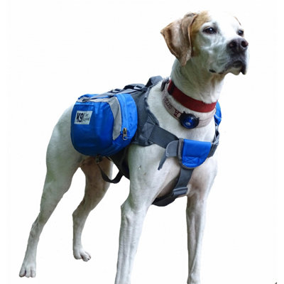 Carry dog on back hot sale