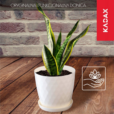 KADAX Plastic Flower Pot, Durable Plant Pot with Saucer for Houseplants ...