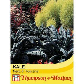 Kale Nero Di Toscana 1 Seed Packet (250 Seeds)
