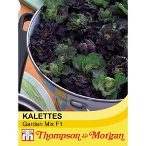 Kalettes Garden Mix F1 1 Seed Packet (20 Seeds)