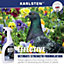 Karlsten Pigeon Bird repellent Effective Treatment to Keep Pigeons away and Protect your Garden