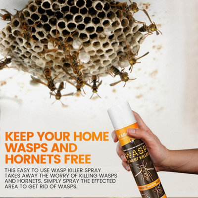 Karlsten Wasp and Nest Killer Spray 300ml Fast-Acting Maximum Strength ...