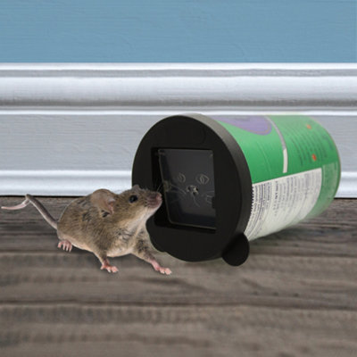 Mouse traps uk new arrivals