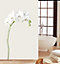 KAV Shower Curtain Bath Curtain Mould Mildew Resistant Water Repellent for Bathroom Solid White, 180x180cm (White Jasmine Flower)