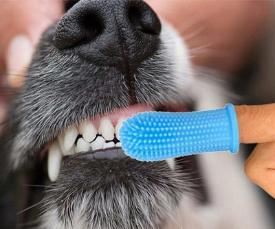 KAV Silicone Finger Toothbrush for Dogs Easy Teeth Cleaning Dental Care Dog Finger Toothbrush 5.1x2