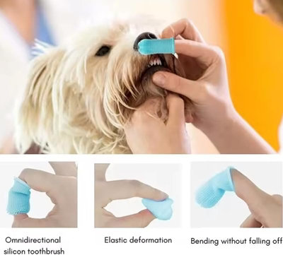 Silicone dog toothbrush hotsell