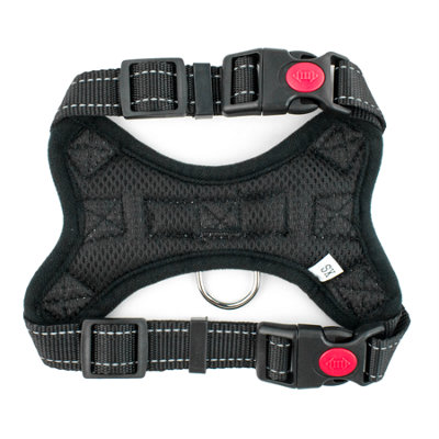 KCT Extra Small Blue Padded Dog Harness DIY at B Q