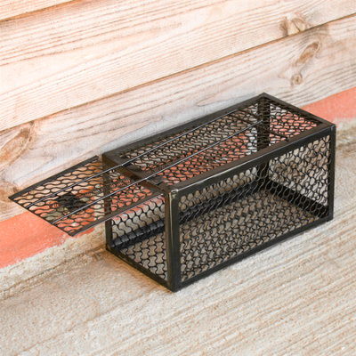 What is the Best Bait for Rat Traps? – Bait Cage