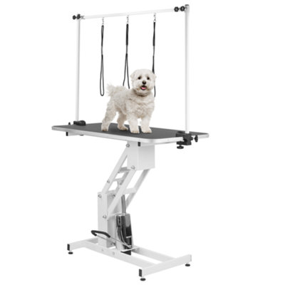 KCT Large Professional Hydraulic Dog Grooming Parlour Table With Arm & Leash