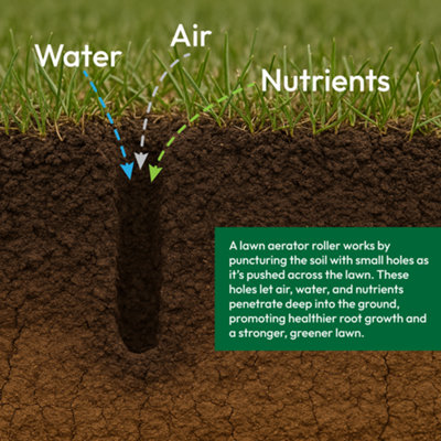 Can I Use a Roller After Aerating Soil? Expert Tips Revealed