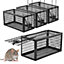 KCT Pack of 4  Humane Rat Trap No Kill Bait Rodent Catcher