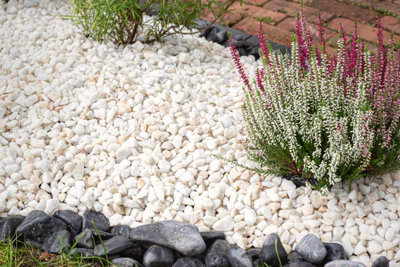Kelkay French Pearl Premium Aggregates Chippings Bulk Bag 750kg - 4