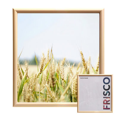 Kenro Frisco Series Gold Photo Frame 16x16 Inch / 40x40cm Wall Hanging with Glass Front - FR4040WH