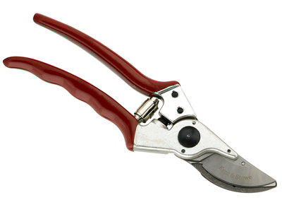 Kent & Stowe 70100461 Professional Bypass Secateurs K/S70100461