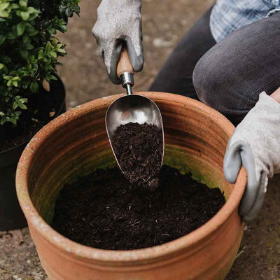 Kent & Stowe Stainless Steel Potting Compost Soil Scoop Heavy Duty Ash Handle