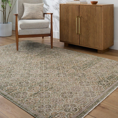 KENY Galey Alix x Livabliss Vintage Traditional Oriental Boho Brown/Olive Area Rug 160 x 230 cm