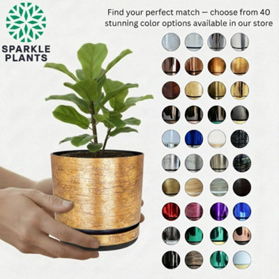Kerd Antique Gold Effect Indoor Plant Pot with Saucer. Gloss Plastic ...
