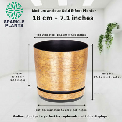 Kerd Antique Gold Effect Indoor Plant Pot with Saucer. Gloss Plastic ...