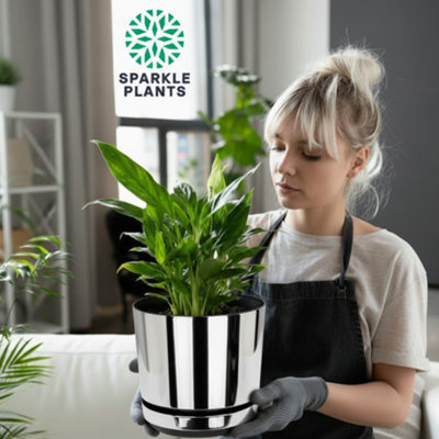 Kerd Silver Mirror Indoor Plant Pot with Saucer Gloss Plastic Flower ...