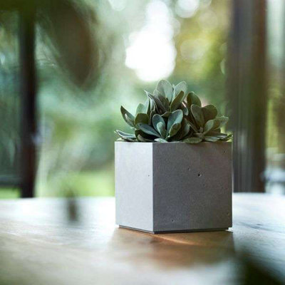 Keter 4PC Light Grey Beton Cube 2L Plant Pot - 13cm