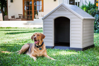 Keter Curver Outdoor Dog Kennel Grey DIY at B Q