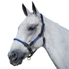 Kincade Leather Rope Headcollar Blue (Pony)