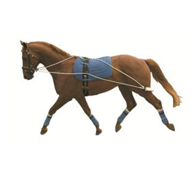 Kincade Lunging Training System May Vary (One Size)