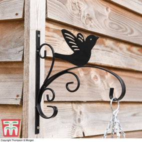 King Swallow Garden Bracket Black Decorative Sturdy Metal Bracket for Hanging Baskets Bird Decoration with Wall Fixings x1