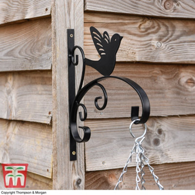 King Swallow Outdoor Garden Bracket Black Decorative Sturdy Metal Bracket for Hanging Baskets Bird Decoration with Wall Fixings x4