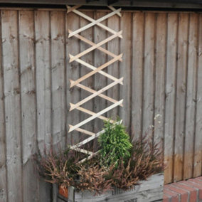 Kingfisher 6ft x 1ft Garden Trellis for Climbing Plants & Walls