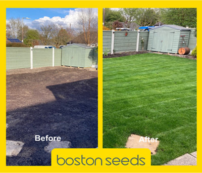 KissMyGrass Pre-seeding Lawn and Sportsfield Fertiliser 6.9.6 (5 x 20kg)