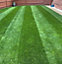 KissMyGrass Slow Release Lawn Fertiliser 20.6.8 (6 month) (5 x 20kg)