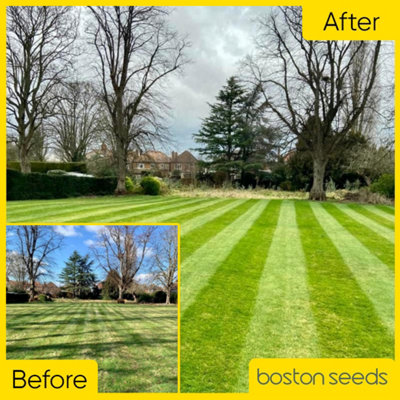 KissMyGrass Spring & Summer Lawn and Sportsfield Fertiliser 11.5.5 (1 x