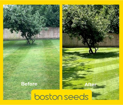 KissMyGrass Spring & Summer Lawn and Sportsfield Fertiliser 11.5.5 (5 x ...