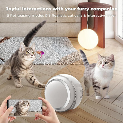 KITPLUS Pet interactive bestie robot with 4K camera, video interaction, 12 pet teasing modes and cat meows, soft lights and teaser
