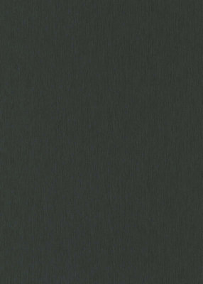 Klassieke uniNonwoven wallpaper in black black - 10,05 x 0,53 m