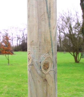 Kookaburra 3m Wooden Tall Round Shade Sail Garden Patio Fixing Pole with Eyebolt Screw - 12cm - 5