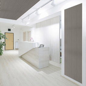 Kraus - Silver Birch - Easy-Fit Acoustic Slat Wall Panel - (L) 240cm x (W) 57.3cm 