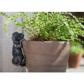 Labrador Plant Pot Hanger - L5 x W5 x H10 cm