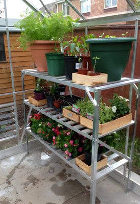 Lacewing X2 Traditional 3 Tier Greenhouse Staging Shelf Workbench in Silver 126cm - 3