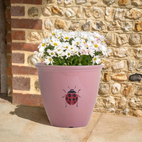 Ladybird Design Planter - Weather Resistant Colourful Recycled Plastic Outdoor Garden Flower Plant Pot - Pink, H38 x 38cm Dia
