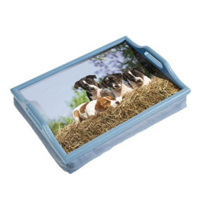 Laminated Wooden Lap Tray with Built in Cushion - 100 x 400 x 300mm - Dog Design
