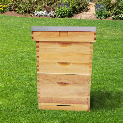 Langstroth Beehive In High Quality Cedar - 9