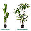 Large 120cm Artificial Dracaena Marginata Dragon Tree - Indoor Houseplants with Realistic Faux Foliage -Home and Office Décor
