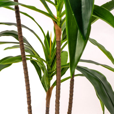 live indoor hanging plants Buy Philodendron Brazil in Hanging Basket main image 1
