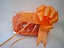 Large 50mm/5cm Ribbon Pull Bows for All Occation Decoration , Orange, 10PK
