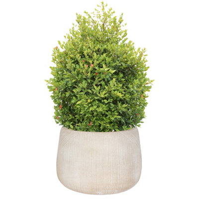 Large Beige Symmetry Stripe Beige Fibre Clay Indoor Outdoor Flower Plant Pot Houseplant Garden Planter