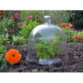 Large Bell Jar Cloche - Glass - L30 x W30 x H30 cm