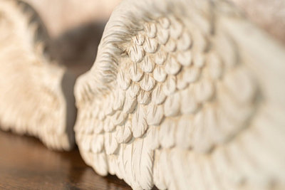 Large Distressed White Angel Wings - 5
