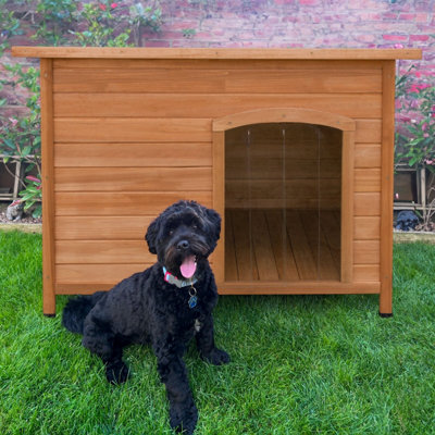 B&q dog sale kennel